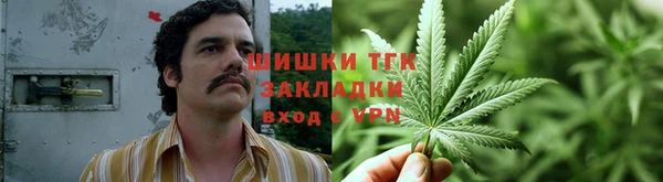дживик Дмитров