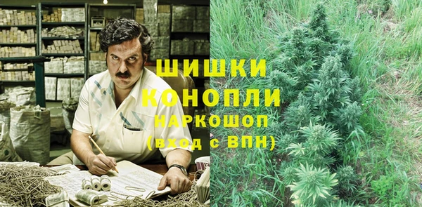 дживик Дмитриев