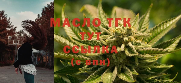 дживик Дмитриев