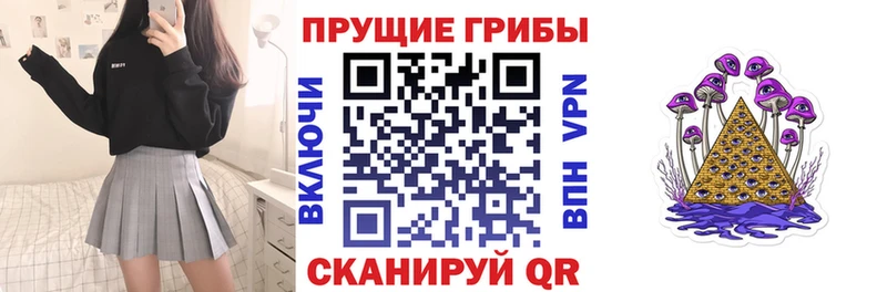Галлюциногенные грибы Cubensis  Купить где  Апатиты 